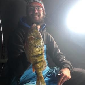 Meet your Posher, Ryan